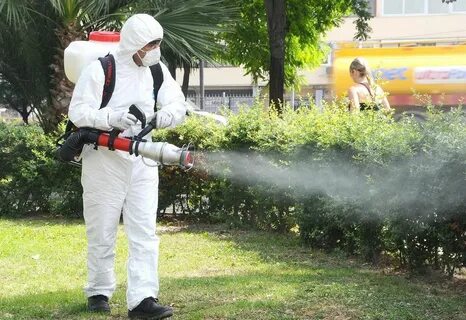Foto - Kırkayak ve kulağakaçan böcekleri buna geliyor! İşte o haşereleri evden göndermenin yolu