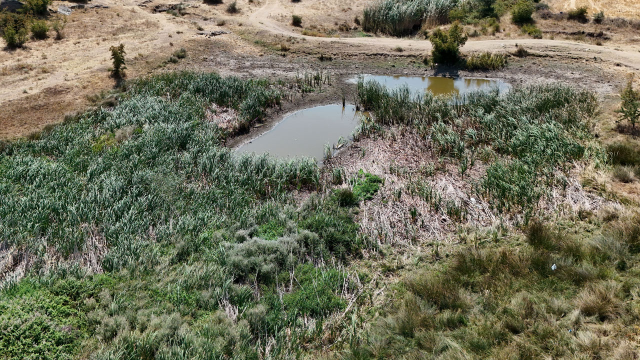 Foto - Kırklareli’nde alarm! O gölet kuruma noktasına geldi