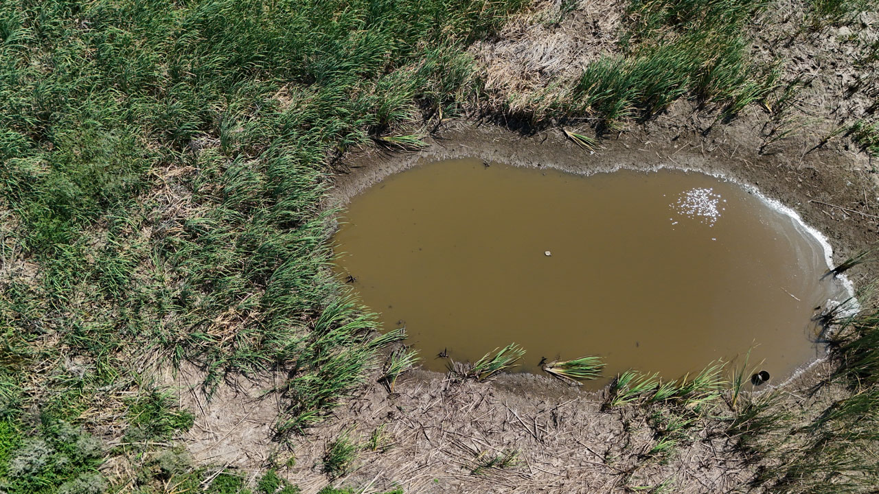 Foto - Kırklareli’nde alarm! O gölet kuruma noktasına geldi