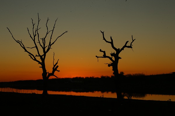 Foto - Kırklareli'nde gün batımı