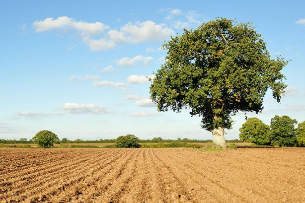Foto - Kırklareli'nde şok doğalgaz gelişmesi! Arazisi olanlar dikkat! Hükümet acele olarak arazilere el koyacak
