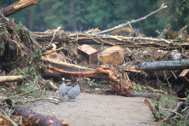 Foto - Kırklareli'ndeki selde kaybolan 4 kişiyi arama kurtarma çalışmaları sürüyor