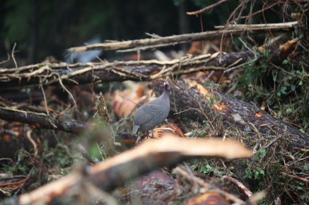 Foto - Kırklareli'ndeki selde kaybolan 4 kişiyi arama kurtarma çalışmaları sürüyor