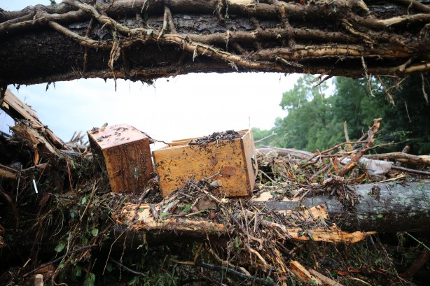 Foto - Kırklareli'ndeki selde kaybolan 4 kişiyi arama kurtarma çalışmaları sürüyor