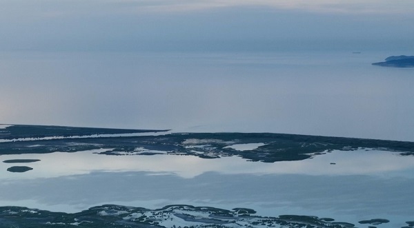 Foto - Kirlilik bu hale getirdi! Dünyanın sayılı güzellikleri can çekişiyor