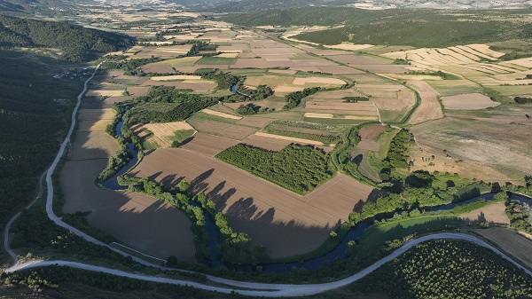 Foto - Kirlilik bu hale getirdi! Dünyanın sayılı güzellikleri can çekişiyor