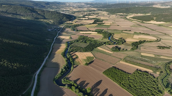 Foto - Kirlilik bu hale getirdi! Dünyanın sayılı güzellikleri can çekişiyor