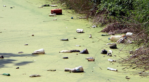 Foto - Kirlilik yüzünden bu hale geldi