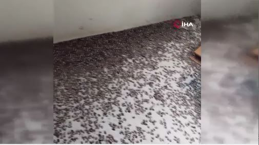 Foto - Kırmızı alarm verildi! Herkes acil toplansın! Harekete geçtiklerini duyurdular