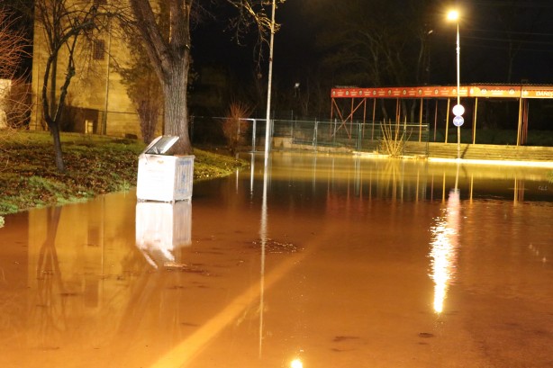 Foto - Kırmızı alarm verilmişti! Tunca Nehri'nde su maymunları görüntülendi