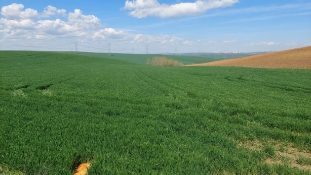 Foto - Kırmızı alarmlı kuraklık sonrası yağışlar umut oldu