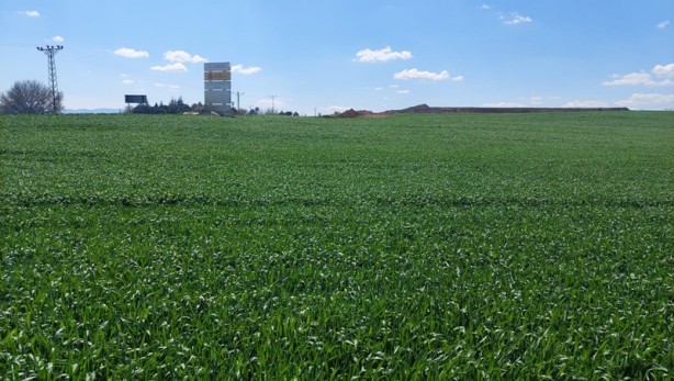 Kırmızı alarmlı kuraklık sonrası yağışlar umut oldu
