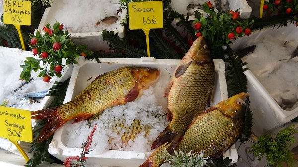 Foto - Kırmızı et fiyatları uçtu! Siirtliler çözümü buldu
