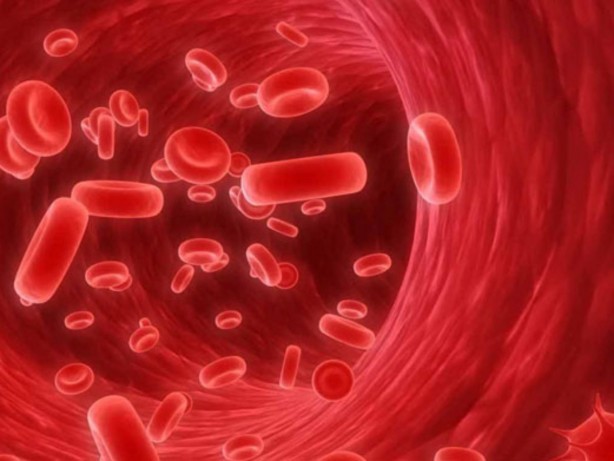 Foto - Kırmızı etten daha fazla demir bulunan gıdalar