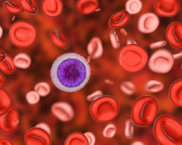 Foto - Kırmızı etten daha fazla demir bulunan gıdalar