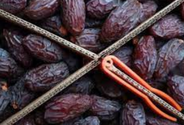 Foto - Kırmızı kan hücrelerini artırıyor, kemik erimesini önlüyor: Kudüs hurması, rezerve sahip! Duyan market kapısını çalacak