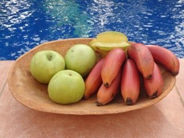 Foto - Kırmızı muz görmüş müydünüz?