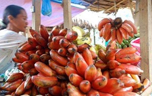 Foto - Kırmızı muz görmüş müydünüz?