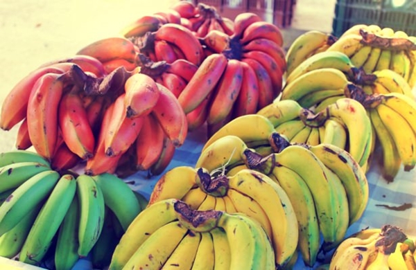 Foto - Kırmızı muz görmüş müydünüz?