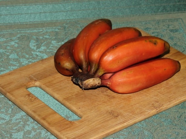 Foto - Kırmızı muz görmüş müydünüz?