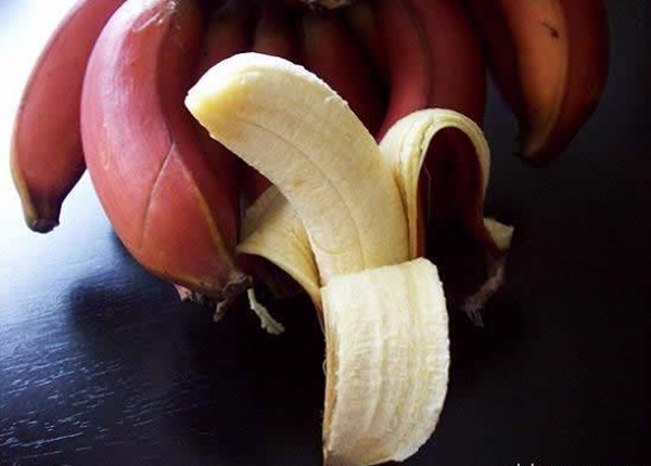 Foto - Kırmızı muz görmüş müydünüz?