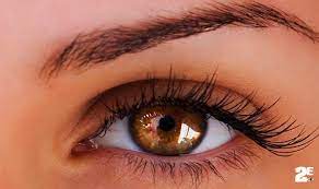 Kirpikleri ok gibi çok sayıda uzatacak! Sadece 1 haftada kirpik uzatma: Doğal uzun kirpiklere sahip olun! 