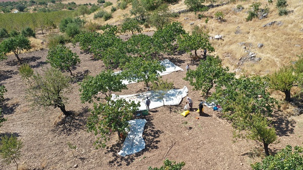 Foto - Kırsalda kurulan tesis üreticinin yükünü hafifletti