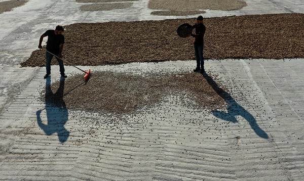 Foto - Kırsalda kurulan tesis üreticinin yükünü hafifletti