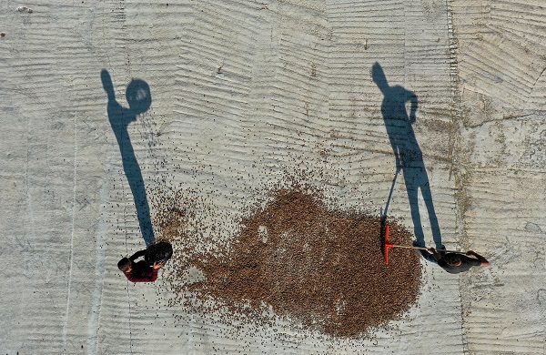 Foto - Kırsalda kurulan tesis üreticinin yükünü hafifletti