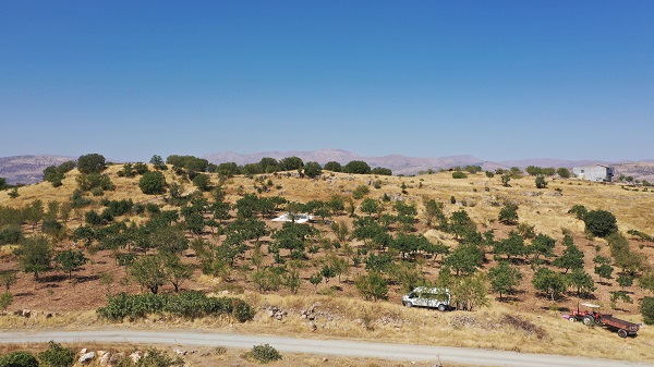 Foto - Kırsalda kurulan tesis üreticinin yükünü hafifletti