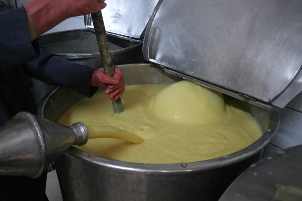 Foto - Kış aylarının vazgeçilmezi... Tam bir şifa deposu