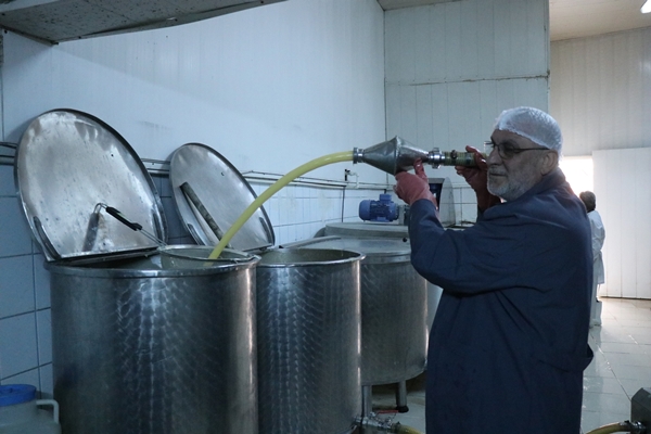 Foto - Kış aylarının vazgeçilmezi... Tam bir şifa deposu