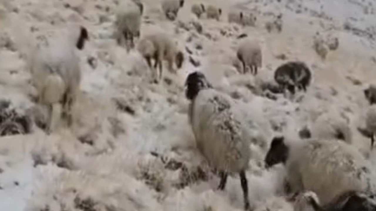 Foto - Kış erken geldi! Başkale’ye mevsimin ilk karı düştü