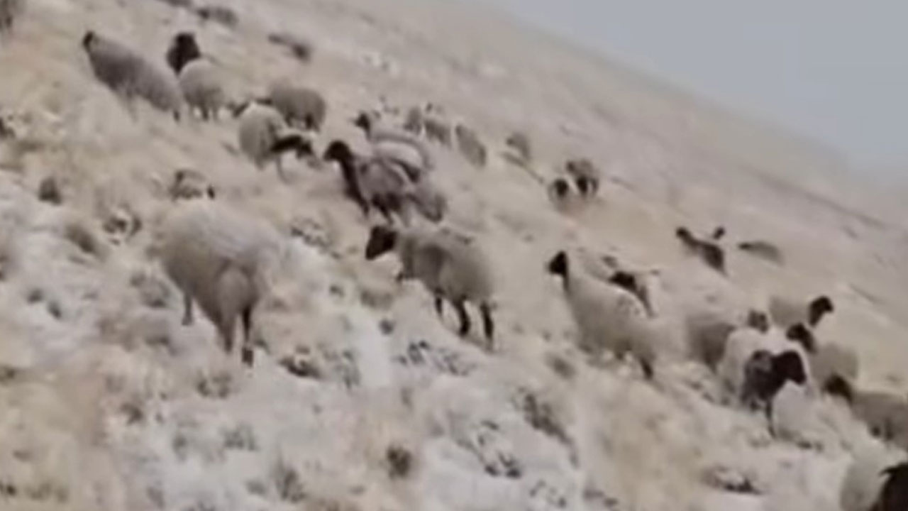 Foto - Kış erken geldi! Başkale’ye mevsimin ilk karı düştü