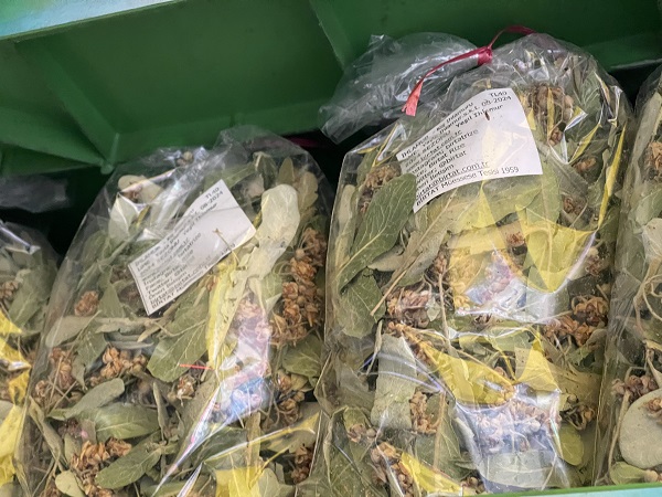 Foto - Kış geldi talep arttı! Kilosu 800 TL