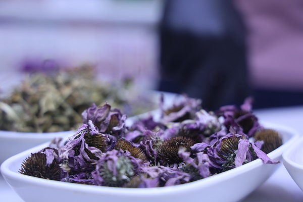 Foto - Kış gelmeden önleminizi alın! Hasta olmak istemiyorsanız bu çay size göre