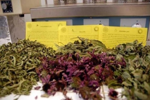 Foto - Kış günlerinde dikkat! Bu bitkiler şifa dağıtıyor