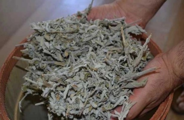 Foto - Kış günlerinde dikkat! Bu bitkiler şifa dağıtıyor