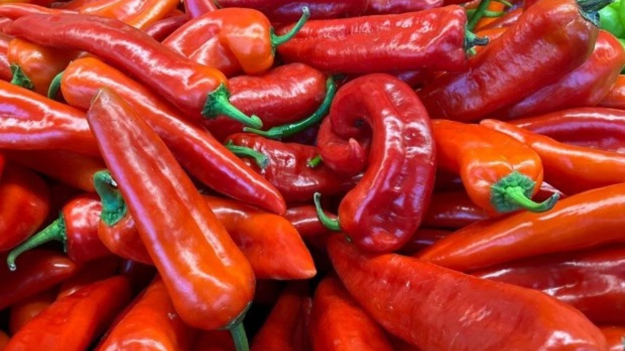 Foto - Kış hazırlığı başladı! Pazara giden eli boş dönmüyor