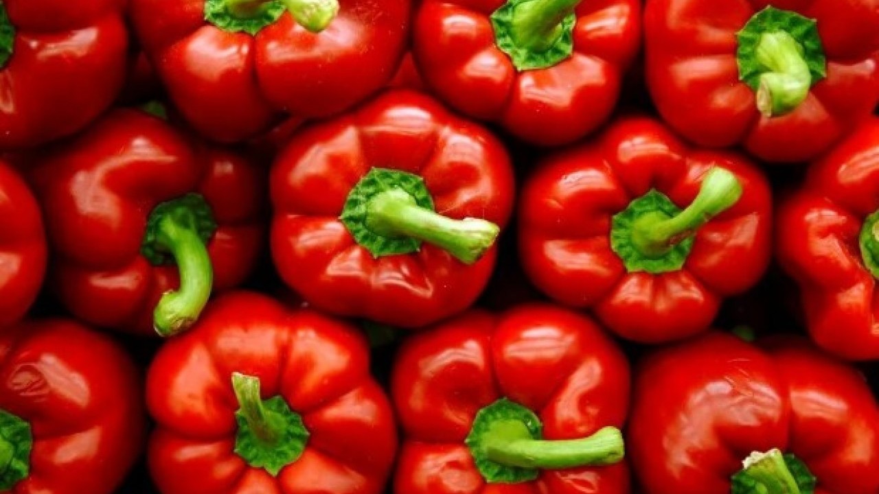 Foto - Kış hazırlığı başladı! Pazara giden eli boş dönmüyor