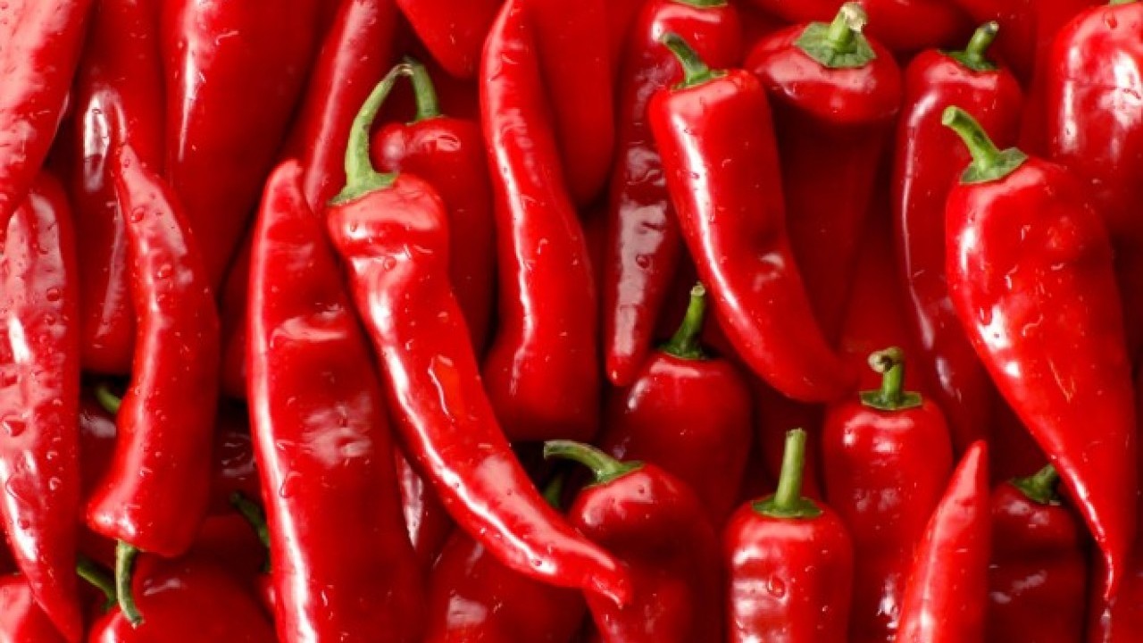 Kış hazırlığı başladı! Pazara giden eli boş dönmüyor