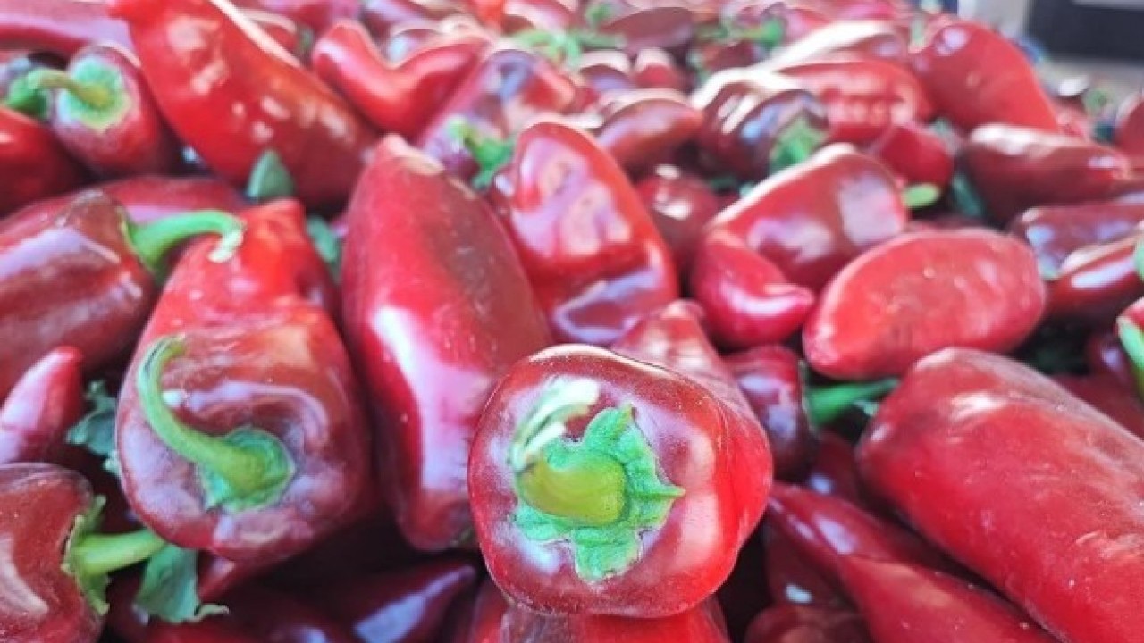 Foto - Kış hazırlığı başladı! Pazara giden eli boş dönmüyor