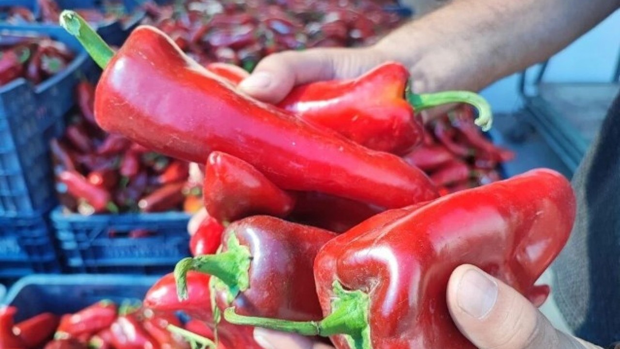 Foto - Kış hazırlığı başladı! Pazara giden eli boş dönmüyor