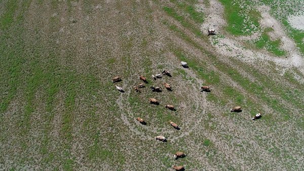 Foto - Kış kurak geçmişti! İşte İstanbul barajlarındaki son durum