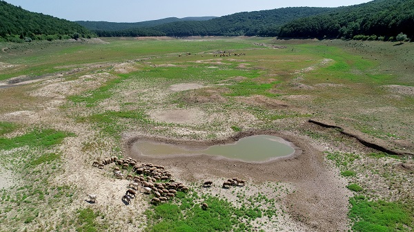 Foto - Kış kurak geçmişti! İşte İstanbul barajlarındaki son durum
