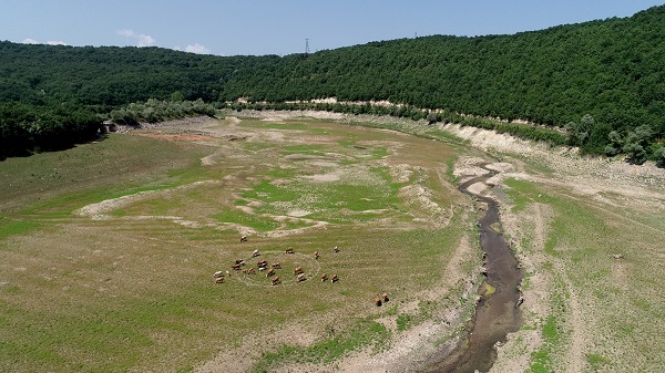 Foto - Kış kurak geçmişti! İşte İstanbul barajlarındaki son durum