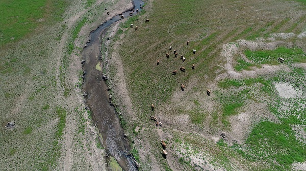 Foto - Kış kurak geçmişti! İşte İstanbul barajlarındaki son durum