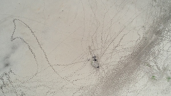 Foto - Kış kurak geçmişti! İşte İstanbul barajlarındaki son durum