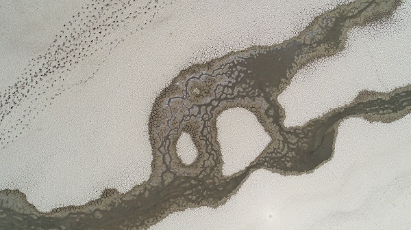 Foto - Kış kurak geçmişti! İşte İstanbul barajlarındaki son durum