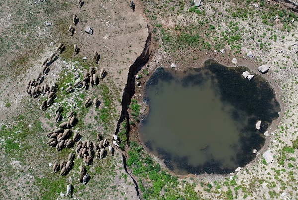 Foto - Kış kurak geçmişti! İşte İstanbul barajlarındaki son durum